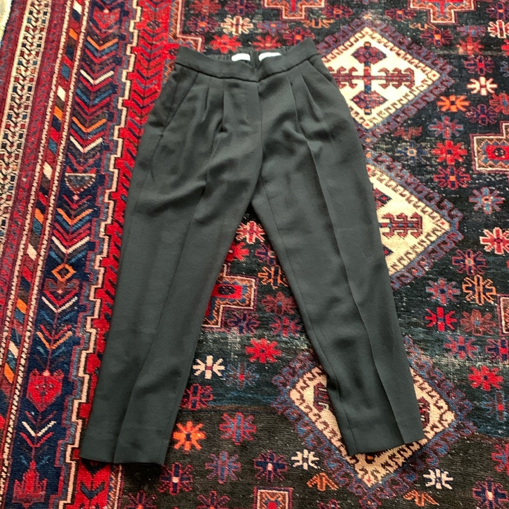 Aritzia cohen pant